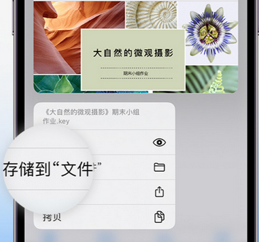 崆峒apple维修中心分享iPhone文件应用中存储和找到下载文件