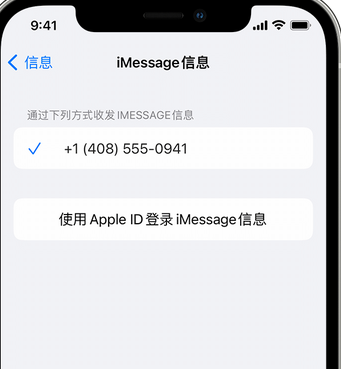 崆峒apple维修iPhone上无法正常发送iMessage信息 