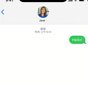 崆峒apple维修iPhone上无法正常发送iMessage信息