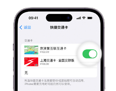 崆峒apple维修点分享iPhone上更换Apple Pay快捷交通卡手绘卡面 