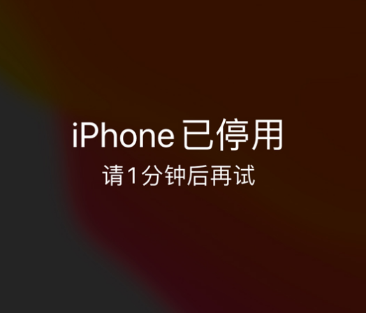 崆峒苹果手机维修分享:iPhone 显示“不可用”或“已停用”怎么办？还能保留数据吗？ 