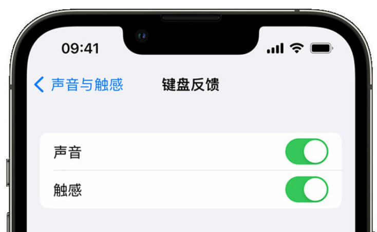 崆峒苹果手机维修分享iPhone 14触感键盘使用方法 