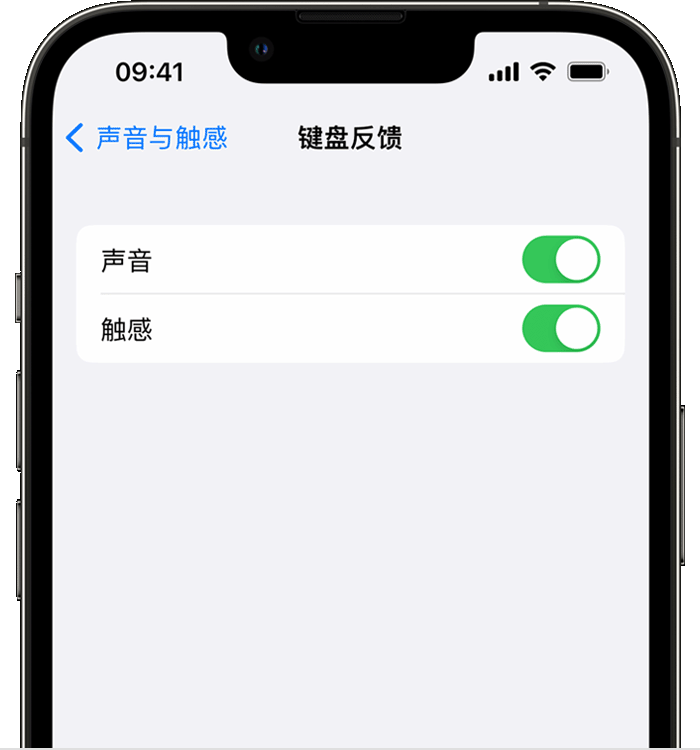 崆峒苹果14维修店分享如何在 iPhone 14 机型中使用触感键盘 