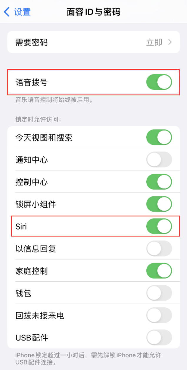 崆峒苹果维修网点分享不解锁 iPhone 的情况下通过 Siri 拨打电话的方法 