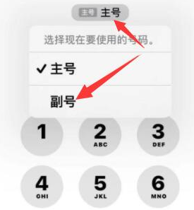 崆峒苹果14维修店分享iPhone 14 Pro Max使用副卡打电话的方法 