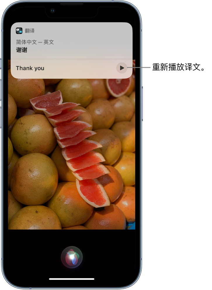 崆峒苹果14维修分享 iPhone 14 机型中使用 Siri：了解 Siri 能帮你做什么 