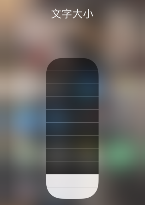 崆峒苹果手机维修分享小技巧：在 iPhone 控制中心快速调节字体大小 
