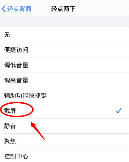 崆峒苹果手机维修分享iPhone12如何启用双击截屏 
